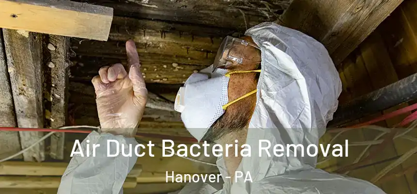  Air Duct Bacteria Removal Hanover - PA