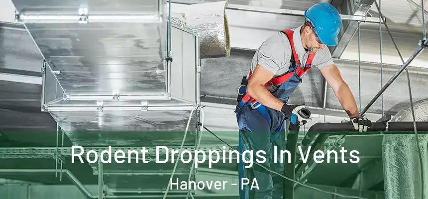  Rodent Droppings In Vents Hanover - PA