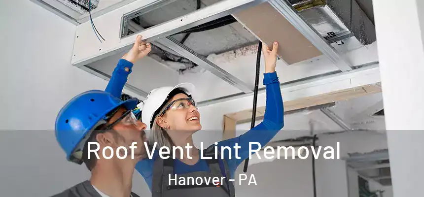  Roof Vent Lint Removal Hanover - PA