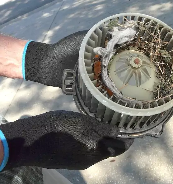 About Air Duct Mice Removal in Hanover, PA