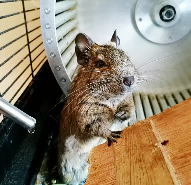 Why Homeowners & Businesses Trust Us Hanover, PA?